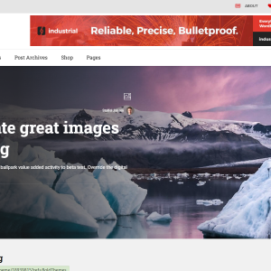 Bold - Blog
