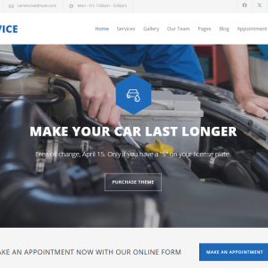 Mechanic - Car